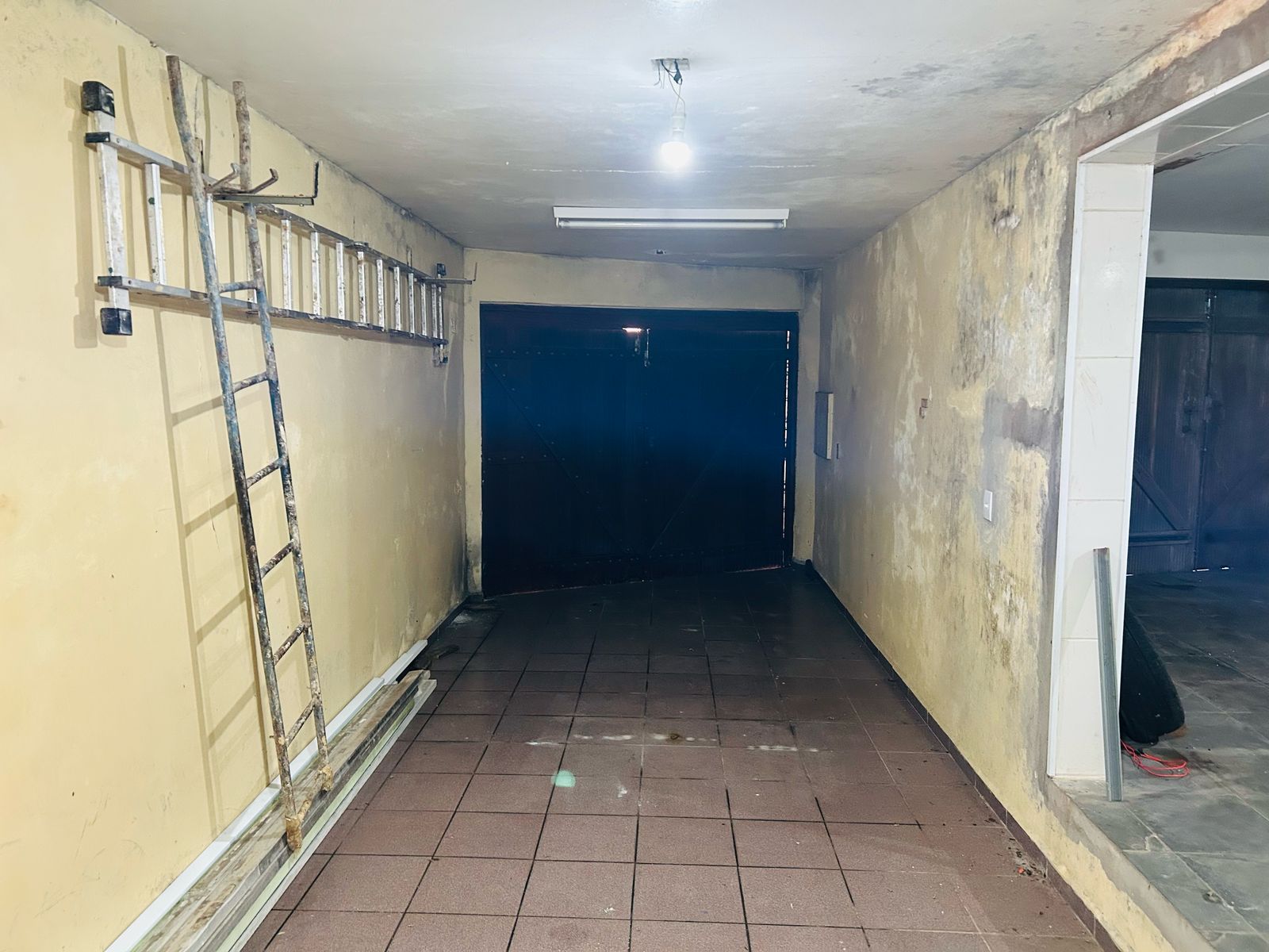 WhatsApp Image 2025-04-01 at 10.37.53.jpeg